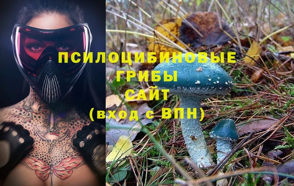 первитин Верхний Тагил