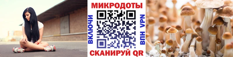 Галлюциногенные грибы Cubensis  хочу наркоту  Торжок 