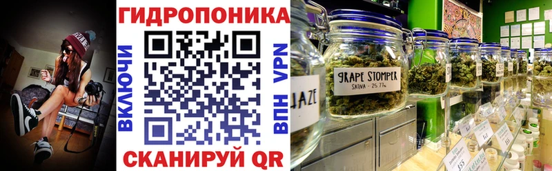 закладки  Торжок  Марихуана Ganja 